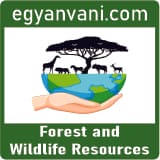 Forest an Wildlife Resources