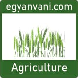 Agriculture