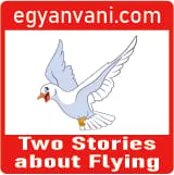 Two Stories about Flying