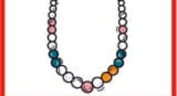 The Necklace
