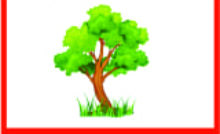 Our Environment
