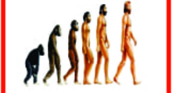 Heredity